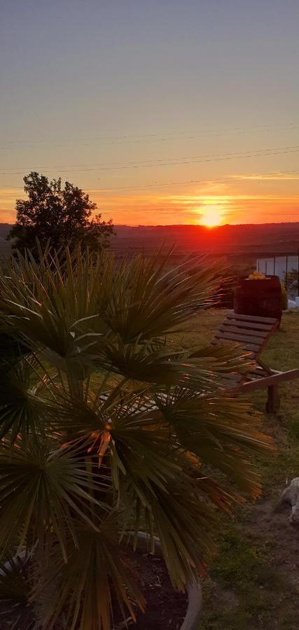 Apartmán ***** Quinta Do Por Do Sol ***** Figueira da Foz Exteriér fotografie